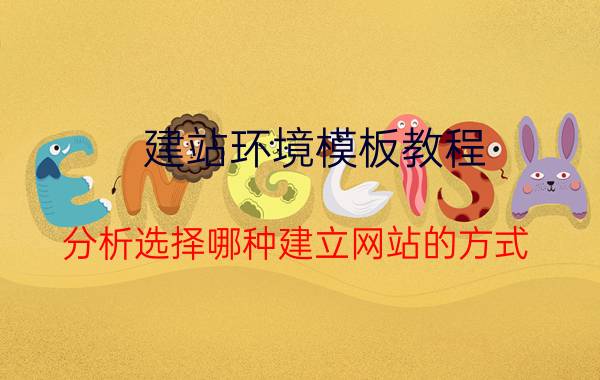 建站环境模板教程 分析选择哪种建立网站的方式？